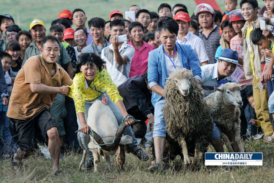 中國日報2014年度國際傳播圖片精選