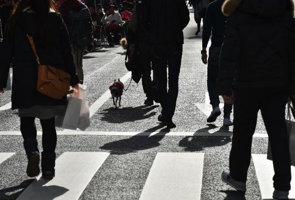 股市暴跌、日元升值致日本“安倍經(jīng)濟(jì)學(xué)”陷危機(jī)