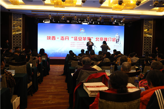 陜西·志丹“延安蘋果”推介會(huì)在北京召開